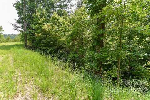 Lot 12 The Vines Boulevard, Marshall, NC 28753