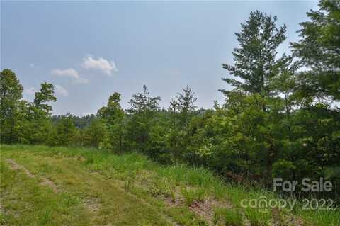 Lot 11 The Vines Boulevard, Marshall, NC 28753