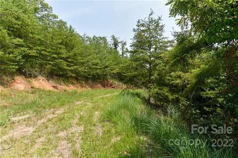 Lot 9 The Vines Boulevard, Marshall, NC 28753