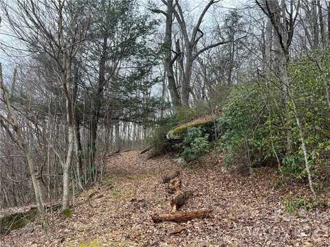 Lot 32 Grand Oaks Drive, Hendersonville, NC 28792