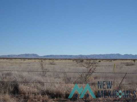40 Acres in PA Grant #33, Engle, NM 87935