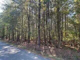 Lot 4 Big Lake Road, Pineville, LA 71360