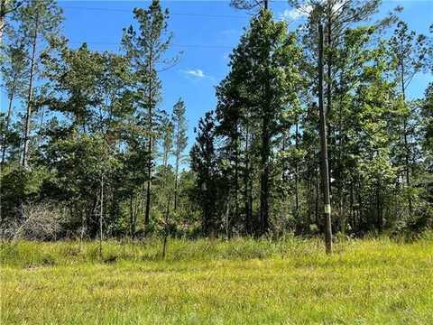 0 Walker Ferry Road, Pollock, LA 71467