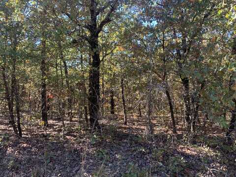 000 Nubbin Ridge Road, Ravenden, AR 72459