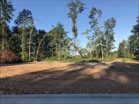 Lot 48 Anthony Park Subdivision Ph 4, Springfield, MO 65810