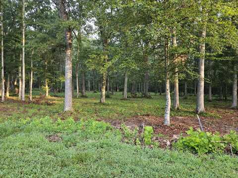 Lot 5 Deerwood Dr & Sunset Harbor Drive, Dandridge, TN 37725