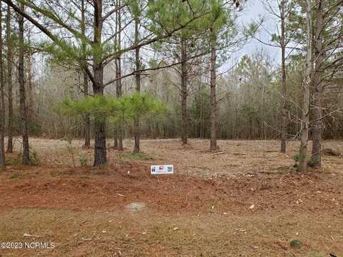 Lot 69 Eagle Trace Drive, Blounts Creek, NC 27814