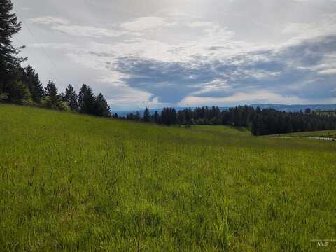 Parcel 13 Red Fir Road, Kooskia, ID 83539