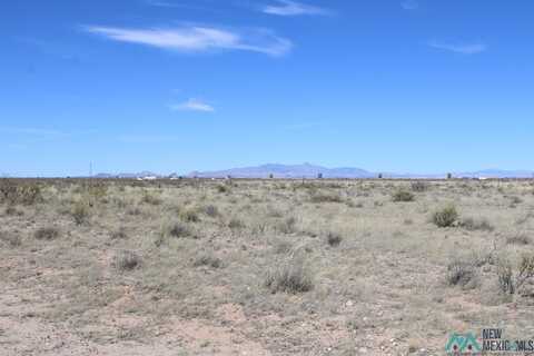 DR Unit 103 Bk 10 Tracts 30 & 31, Deming, NM 88030