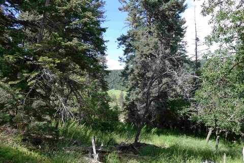 8 Elk Wallow, Cloudcroft, NM 88317