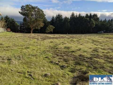 NKA Discovery View Drive, Sequim, WA 98382