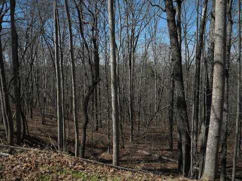 Lot 18 HAWKS RIDGE RD, Danville, VA 24541