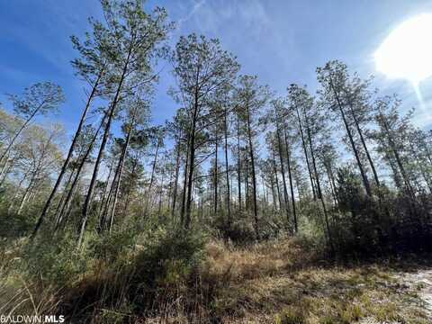 0 Whitehouse Fork Road, Bay Minette, AL 36507