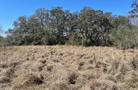 6.36 CR 449/ Armstrong Rd, WEST COLUMBIA, TX 77486