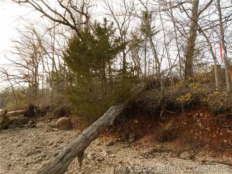 Lot 4 Rapid Hollow, Gravois Mills, MO 65037