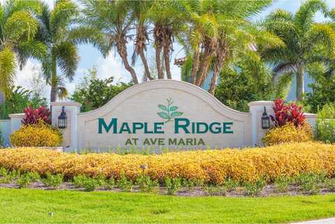 5009 Alonza Avenue, Ave Maria, FL 34142