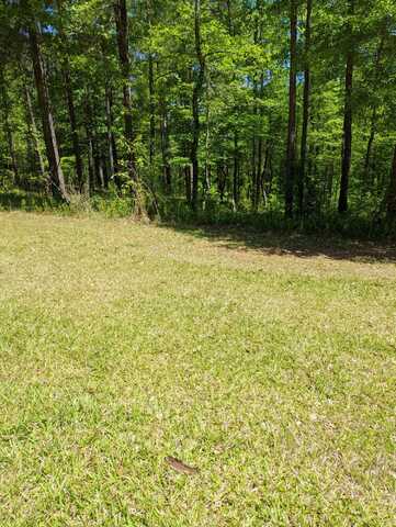 LOT O-19 SCHOOLHOUSE LANE, North Augusta, SC 29860