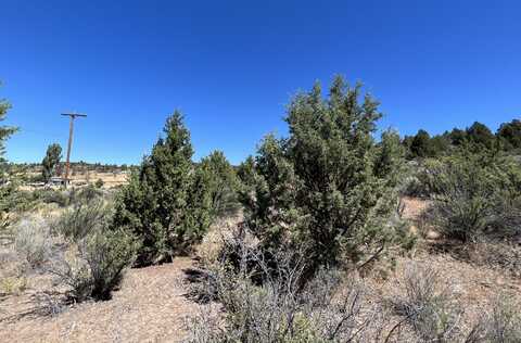 Harney Street, Sprague River, OR 97639