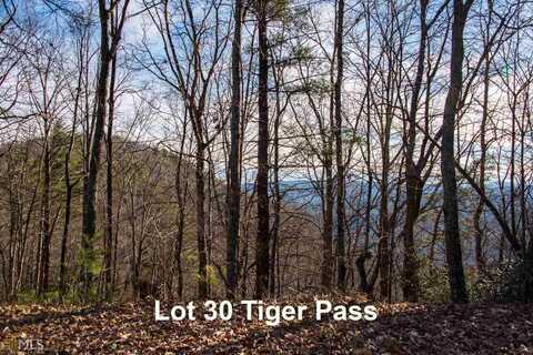 0 Tiger Pass, Tiger, GA 30576
