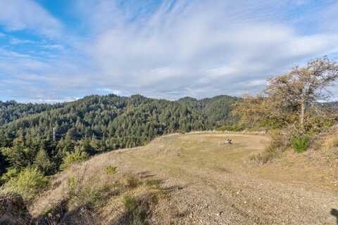 17711 Mcgill RD, SARATOGA, CA 95070