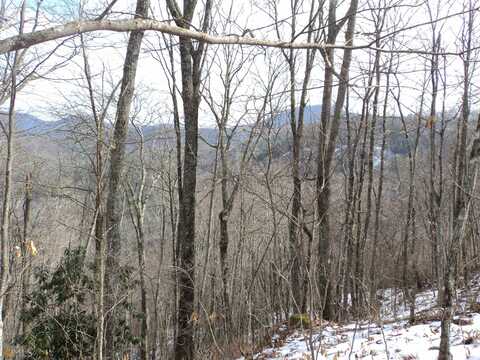 0 Evans Creek Road, Scaly Mountain, NC 28775