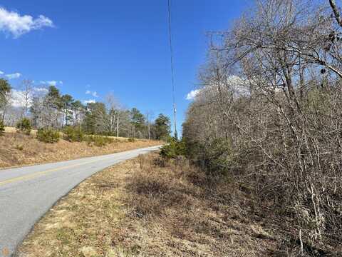 0 Ben Jones Road, Clarkesville, GA 30523