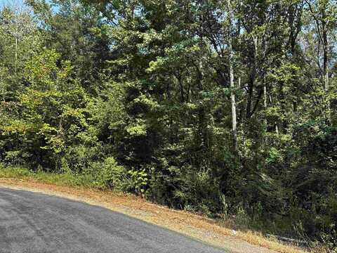 00 N Ridge Road, Morrilton, AR 72110
