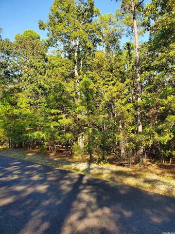 2 Princesa Lane, Hot Springs Village, AR 71909