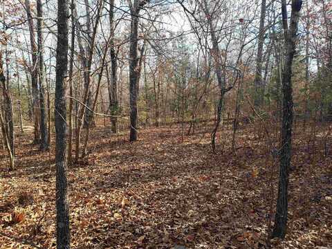 L-22 & 23, B-9 Poteau Trace, Cherokee Village, AR 72529