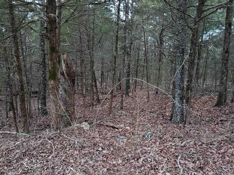 L-69, 70, & 71 Hernando Drive, Cherokee Village, AR 72529