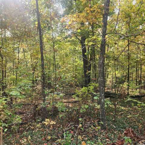 L-24 B-6 Navajo Trace, Cherokee Village, AR 72529