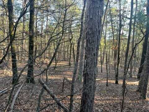 Lot 33 Blk 3 Ojos, Hot Springs Village, AR 71909