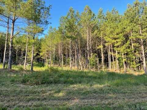 Lot 4 Round Mountain Road, Conway, AR 72034