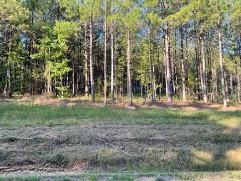 Lot 3 Round Mountain Road, Conway, AR 72034