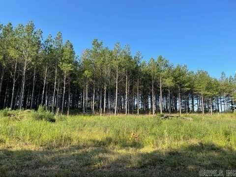 Lot 8 Round Mountain Road, Conway, AR 72034