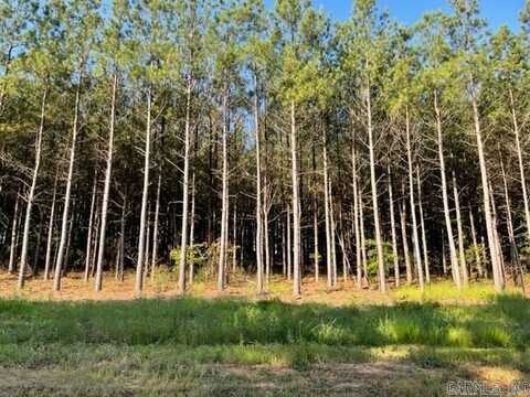 Lot 6 Round Mountain Road, Conway, AR 72034