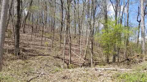 Lot 286 Maple Drive, Spring City, TN 37381