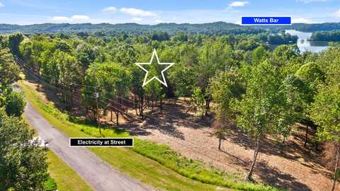 Lot 12 Piney View Drive, Spring City, TN 37381