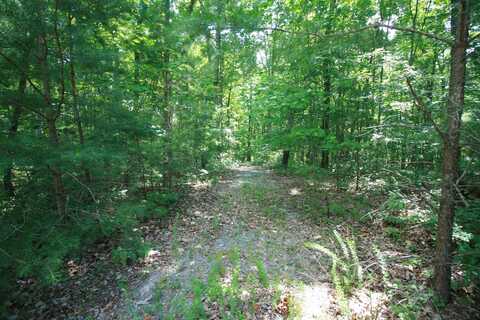 0 Wilderness Way, Dunlap, TN 37327