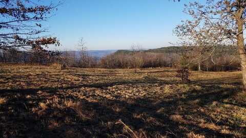 163 E Raven Crest Trail, Graysville, TN 37338