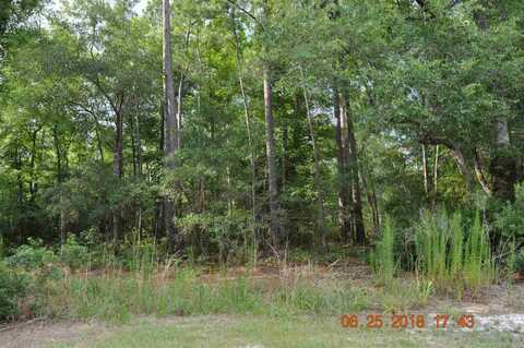 TBD Francis Marion Dr., Georgetown, SC 29440