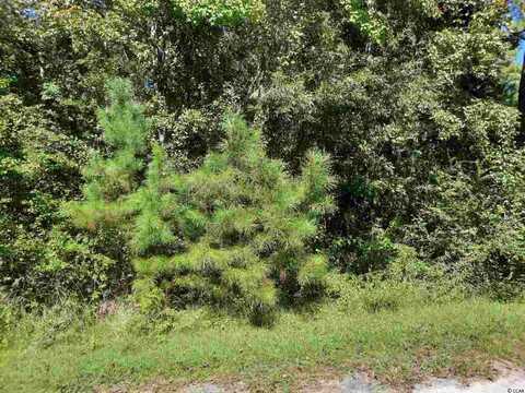 Lot 9 E Wisteria Dr., Hemingway, SC 29554