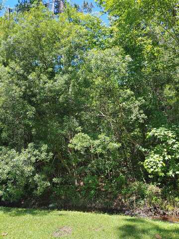 Annie Rainey Lane, Pawleys Island, SC 29585