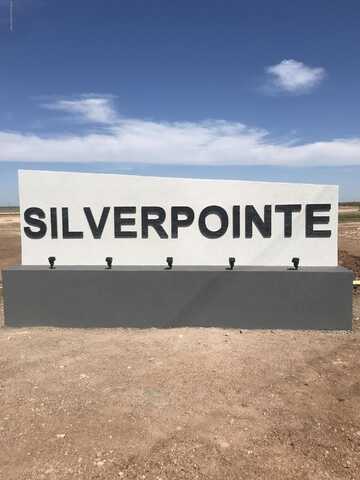 13337 Silverpointe Road, Amarillo, TX 79124