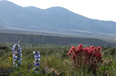 Nhn Parkland Trail, Clark, WY 82435