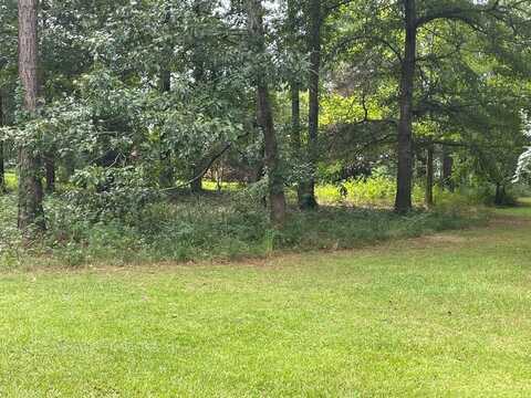 Lot 22 Briarwood Circle, Americus, GA 31709