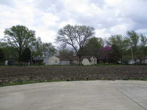 Lot 7 Fina Drive, Tuscola, IL 61953