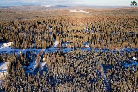 NHN FAITH LANE, Ester, AK 99725