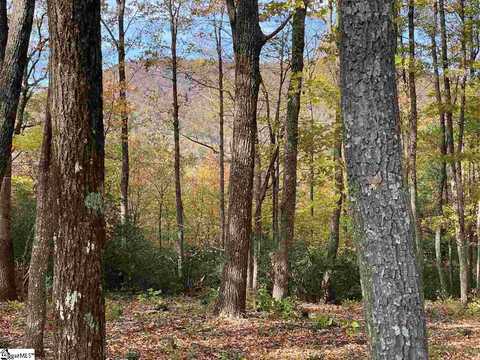 1526 Panther Park Trail, Travelers Rest, SC 29690