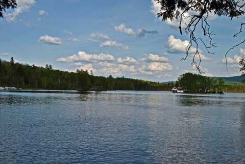 Lot #2 Oseetah Woods Road, Saranac Lake, NY 12983